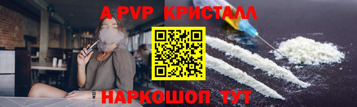 Альфа ПВП СК Нефтекумск
