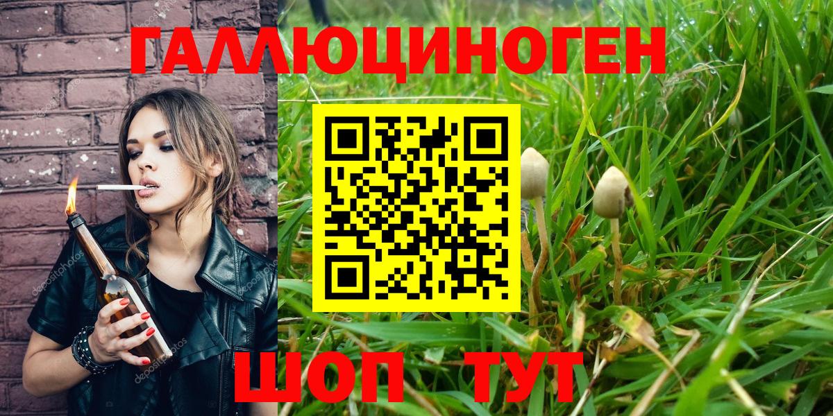 Галлюциногенные грибы прущие грибы Нефтекумск
